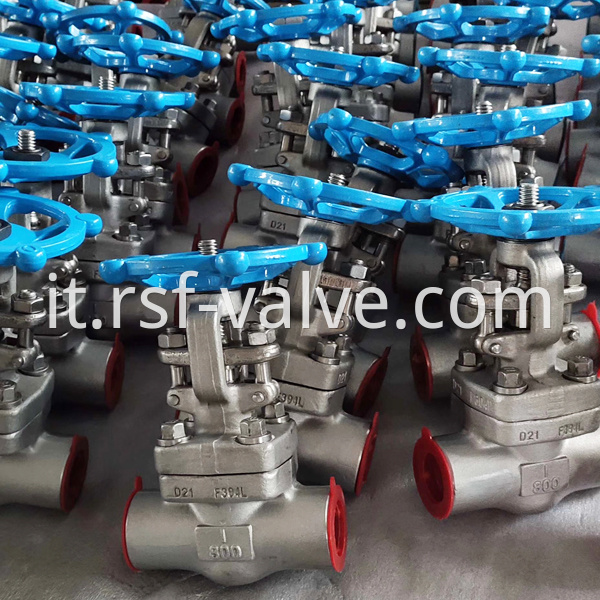 Api602 F304l Gate Valve